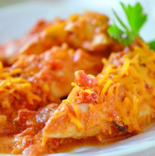 simple salsa chicken recipe