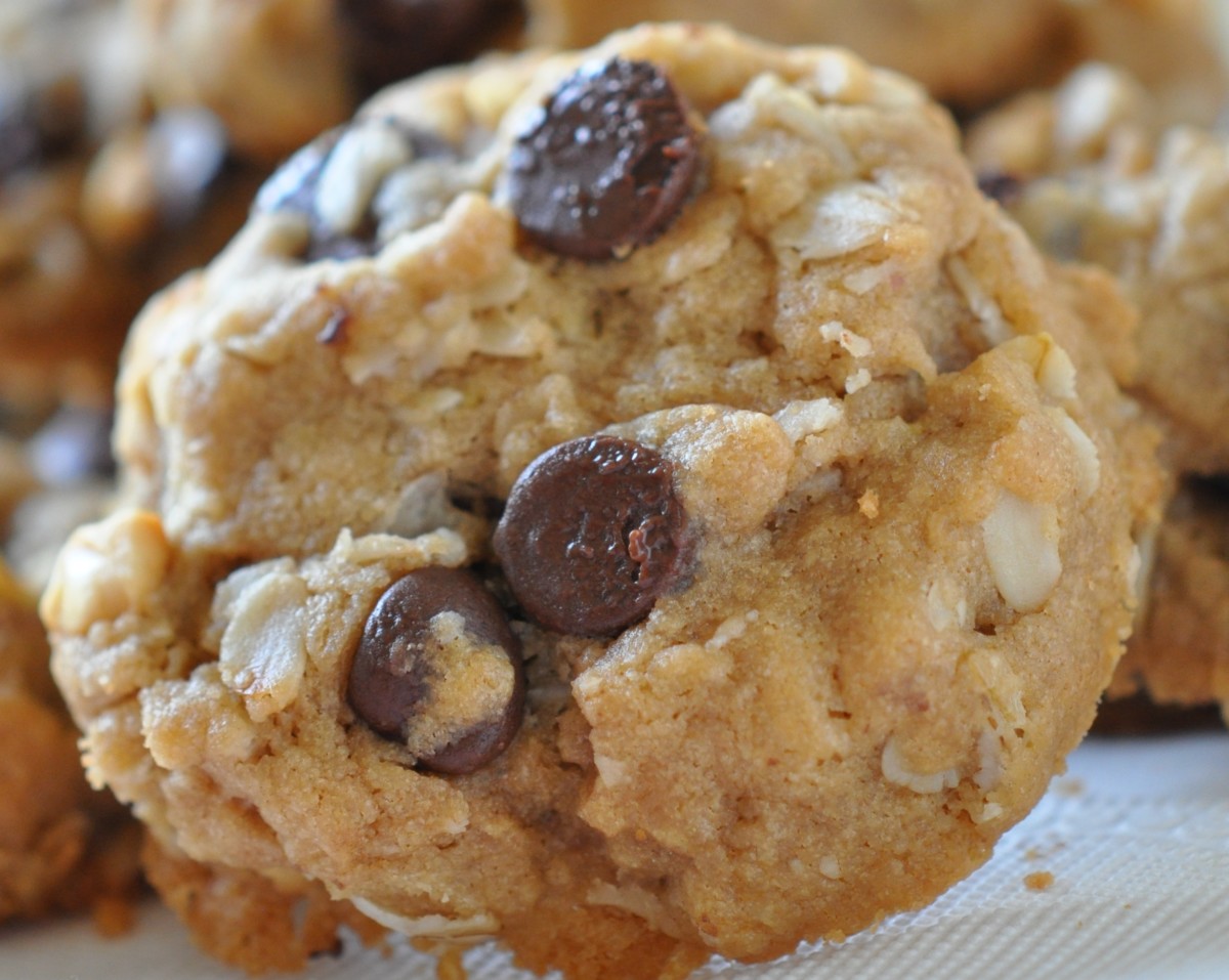 best easy healthy oatmeal cookies for Chocolate Chip Oatmeal Cookies recipe