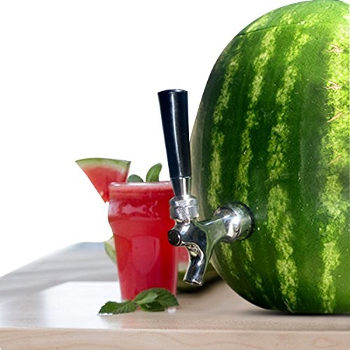 Watermelon Beverage Dispenser Spigot r Home Summer Drinks
