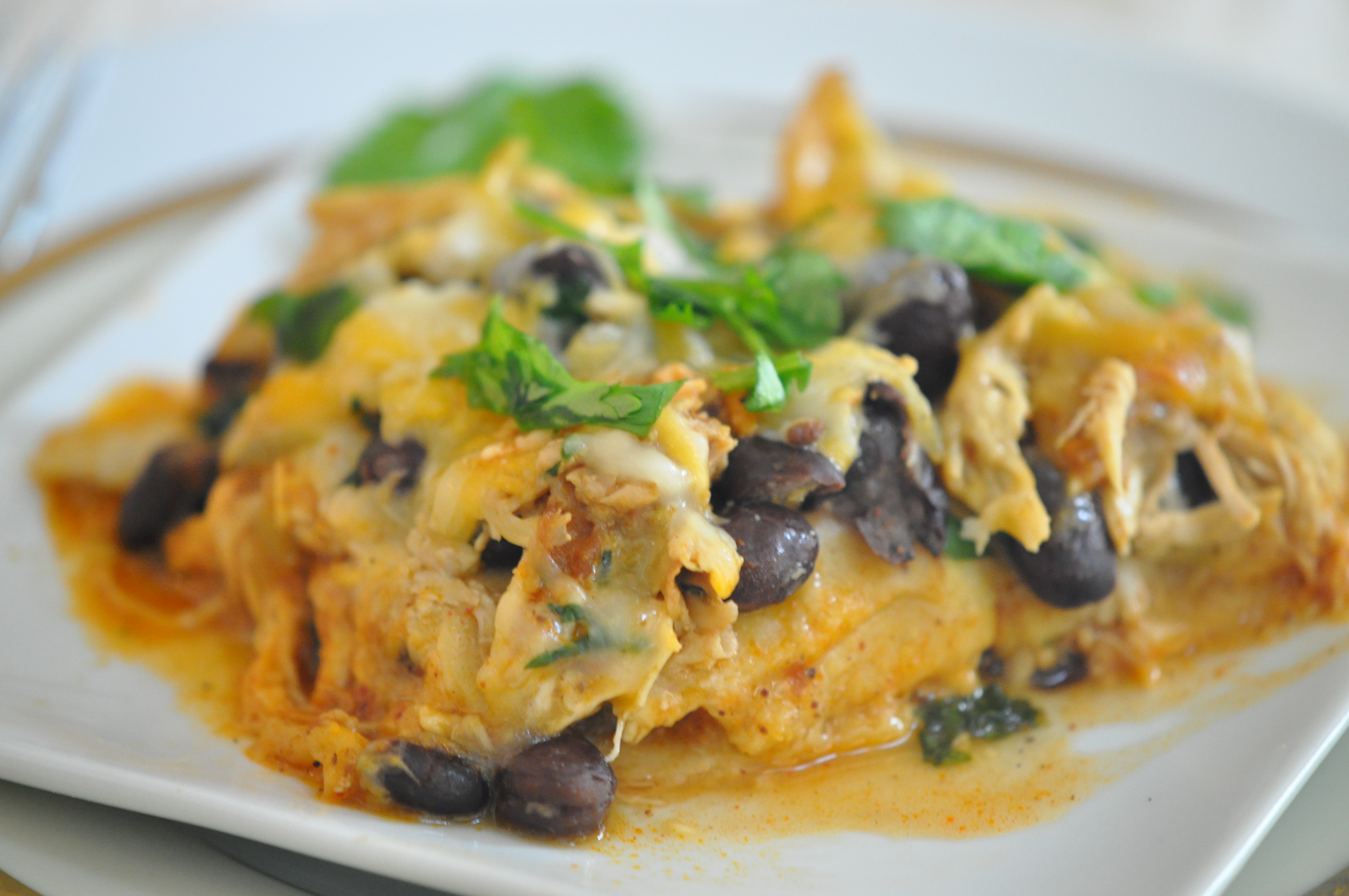 Best Chicken Enchilada Casserole Recipe With Canned Black Beans,Feng Shui Bedroom Colors For Love